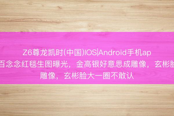 Z6尊龙凯时(中国)IOS|Android手机app下载 第62届百念念红毯生图曝光，金高银好意思成雕像，玄彬脸大一圈不敢认