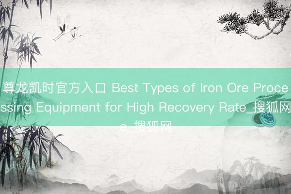 尊龙凯时官方入口 Best Types of Iron Ore Processing Equipment for High Recovery Rate_搜狐网
