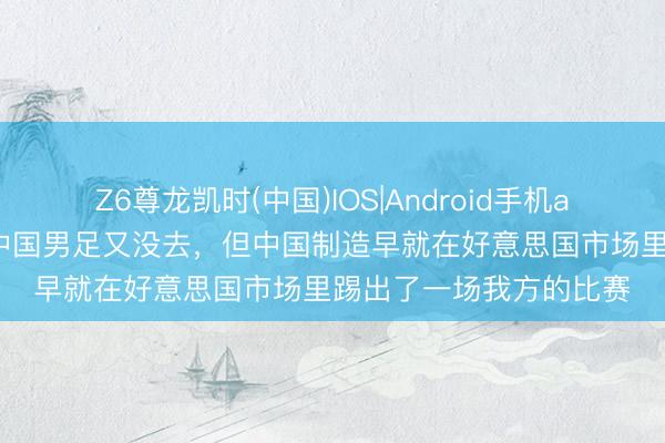 Z6尊龙凯时(中国)IOS|Android手机app下载 这届全国杯，中国男足又没去，但中国制造早就在好意思国市场里踢出了一场我方的比赛