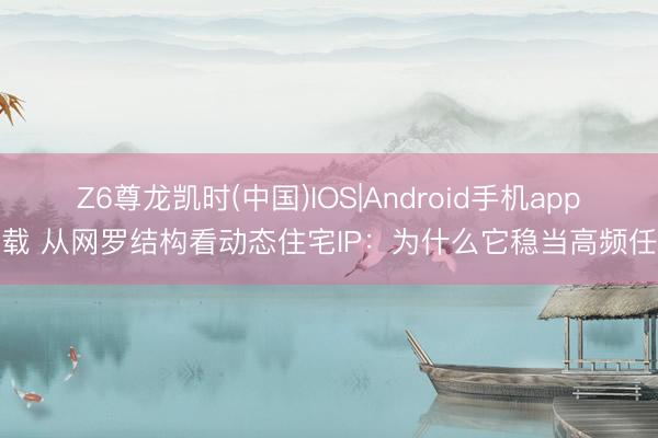 Z6尊龙凯时(中国)IOS|Android手机app下载 从网罗结构看动态住宅IP：为什么它稳当高频任务
