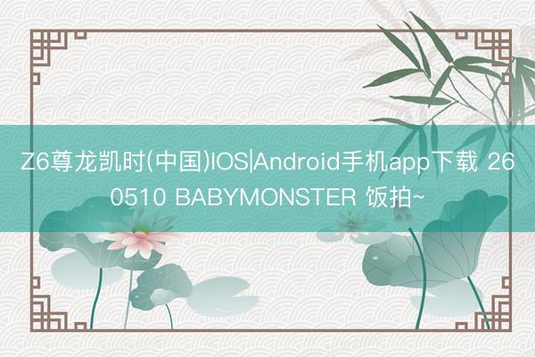 Z6尊龙凯时(中国)IOS|Android手机app下载 260510 BABYMONSTER 饭拍~