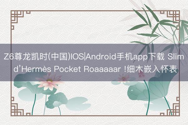 Z6尊龙凯时(中国)IOS|Android手机app下载 Slim d’Hermès Pocket Roaaaaar !细木嵌入怀表