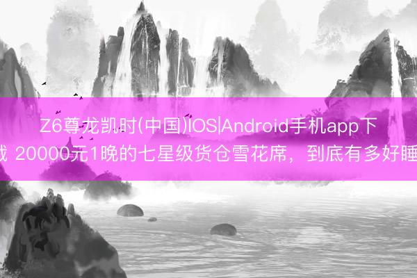 Z6尊龙凯时(中国)IOS|Android手机app下载 20000元1晚的七星级货仓雪花席，到底有多好睡？