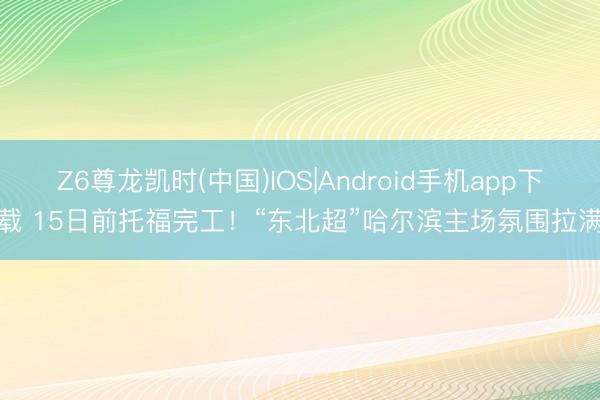 Z6尊龙凯时(中国)IOS|Android手机app下载 15日前托福完工！“东北超”哈尔滨主场氛围拉满