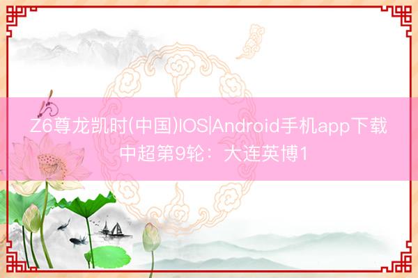 Z6尊龙凯时(中国)IOS|Android手机app下载 中超第9轮：大连英博1