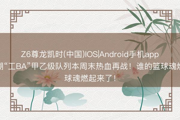 Z6尊龙凯时(中国)IOS|Android手机app下载 芜湖“工BA”甲乙级队列本周末热血再战！谁的篮球魂燃起来了！
