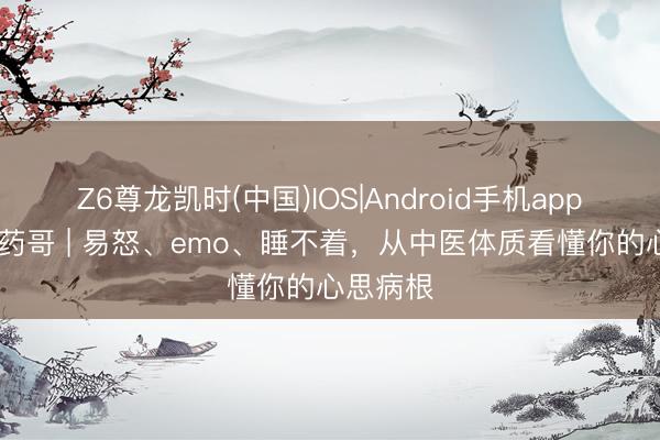 Z6尊龙凯时(中国)IOS|Android手机app下载 草药哥 | 易怒、emo、睡不着，从中医体质看懂你的心思病根
