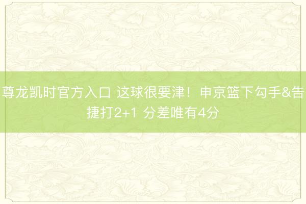 尊龙凯时官方入口 这球很要津！申京篮下勾手&告捷打2+1 分差唯有4分