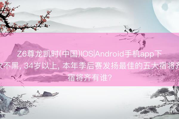 Z6尊龙凯时(中国)IOS|Android手机app下载 不吹不黑， 34岁以上， 本年季后赛发扬最佳的五大宿将齐有谁?
