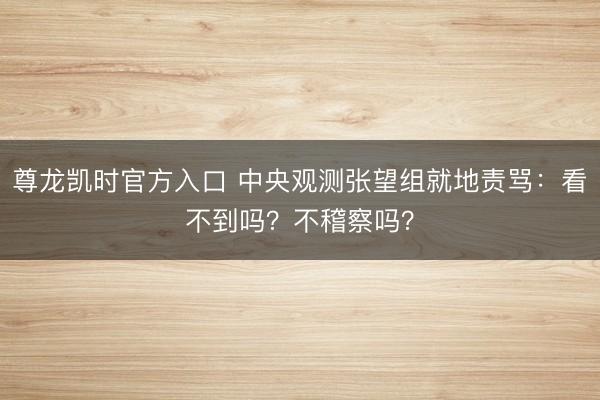 尊龙凯时官方入口 中央观测张望组就地责骂：看不到吗？不稽察吗？