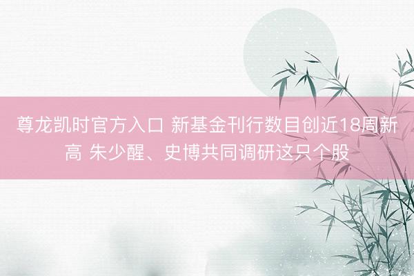 尊龙凯时官方入口 新基金刊行数目创近18周新高 朱少醒、史博共同调研这只个股
