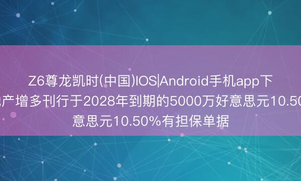 Z6尊龙凯时(中国)IOS|Android手机app下载 成本计谋地产增多刊行于2028年到期的5000万好意思元10.50%有担保单据
