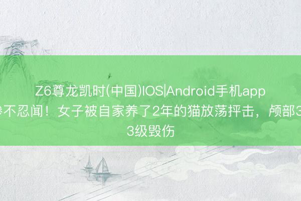 Z6尊龙凯时(中国)IOS|Android手机app下载 惨不忍闻！女子被自家养了2年的猫放荡抨击，颅部3级毁伤