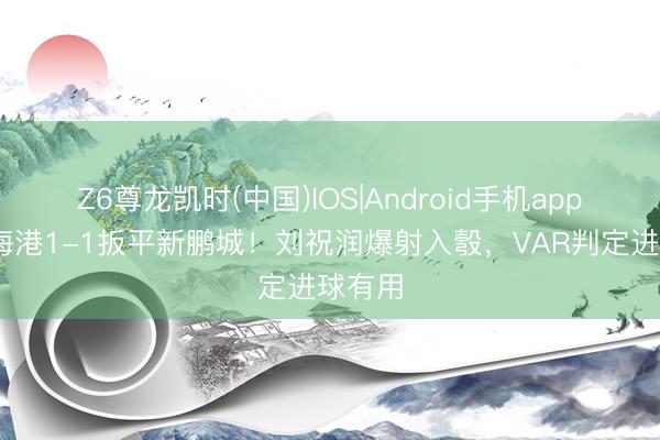 Z6尊龙凯时(中国)IOS|Android手机app下载 海港1-1扳平新鹏城！刘祝润爆射入彀，VAR判定进球有用
