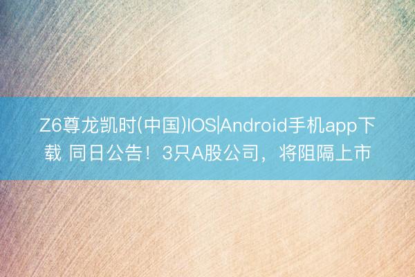 Z6尊龙凯时(中国)IOS|Android手机app下载 同