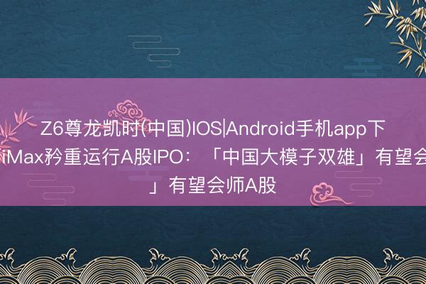 Z6尊龙凯时(中国)IOS|Android手机app下载 M