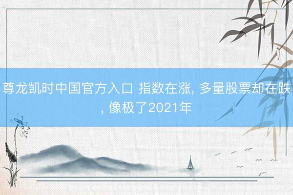 尊龙凯时中国官方入口 指数在涨， 多量股票却在跌， 像极了2021年