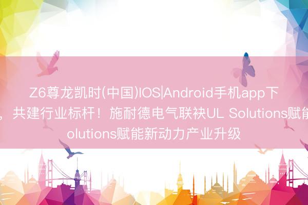 Z6尊龙凯时(中国)IOS|Android手机app下载 斩获泰斗认证，共建行业标杆！施耐德电气联袂UL Solutions赋能新动力产业升级