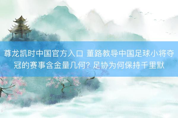 尊龙凯时中国官方入口 董路教导中国足球小将夺冠的赛事含金量几何? 足协为何保持千里默