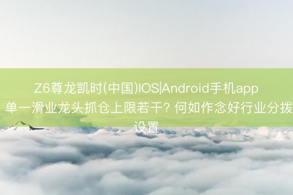 Z6尊龙凯时(中国)IOS|Android手机app下载 单一滑业龙头抓仓上限若干? 何如作念好行业分拨设置