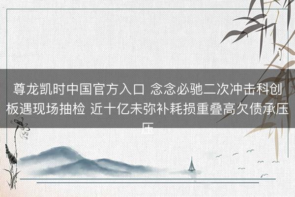 尊龙凯时中国官方入口 念念必驰二次冲击科创板遇现场抽检 近十亿未弥补耗损重叠高欠债承压