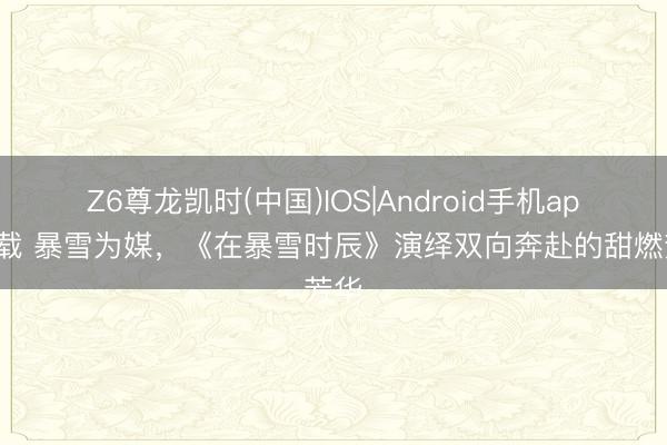 Z6尊龙凯时(中国)IOS|Android手机app下载 暴雪为媒，《在暴雪时辰》演绎双向奔赴的甜燃芳华