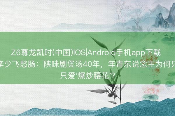 Z6尊龙凯时(中国)IOS|Android手机app下载 《主角》导演李少飞愁肠：陕味剧煲汤40年，年青东说念主为何只爱'爆炒腰花'？