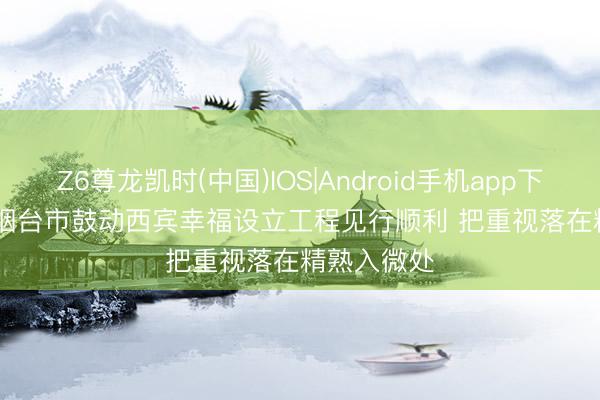 Z6尊龙凯时(中国)IOS|Android手机app下载 山东省烟台市鼓动西宾幸福设立工程见行顺利 把重视落在精熟入微处