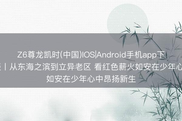 Z6尊龙凯时(中国)IOS|Android手机app下载 焦点访谈丨从东海之滨到立异老区 看红色薪火如安在少年心中昂扬新生
