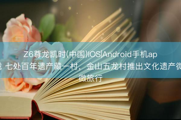 Z6尊龙凯时(中国)IOS|Android手机app下载 七处百年遗产藏一村，金山五龙村推出文化遗产微旅行