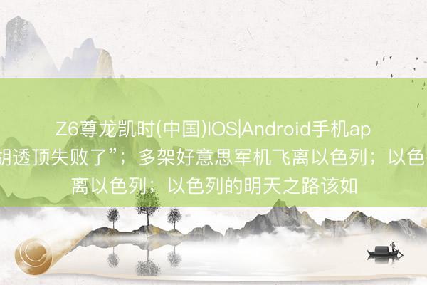 Z6尊龙凯时(中国)IOS|Android手机app下载 “内塔尼亚胡透顶失败了”；多架好意思军机飞离以色列；以色列的明天之路该如