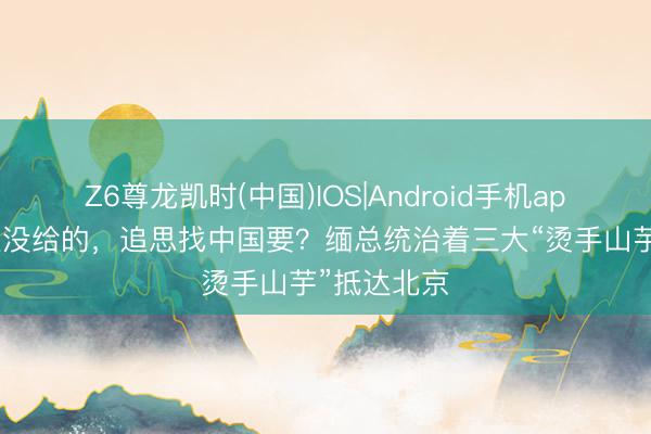 Z6尊龙凯时(中国)IOS|Android手机app下载 莫迪没给的,追思找中国要?缅总统治着三大“烫手山芋”抵达北京