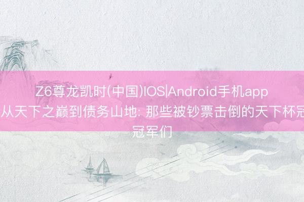 Z6尊龙凯时(中国)IOS|Android手机app下载 从天下之巅到债务山地: 那些被钞票击倒的天下杯冠军们