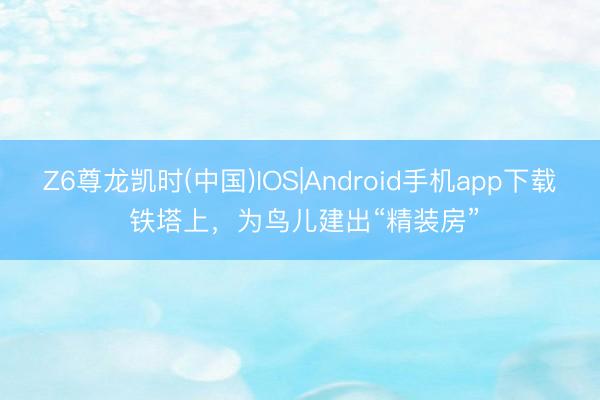 Z6尊龙凯时(中国)IOS|Android手机app下载 铁塔上，为鸟儿建出“精装房”