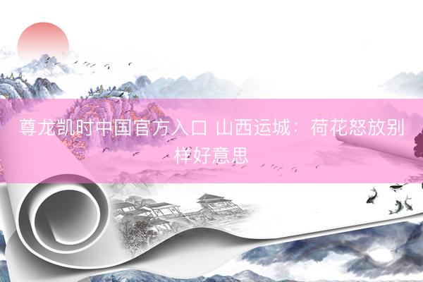 尊龙凯时中国官方入口 山西运城：荷花怒放别样好意思